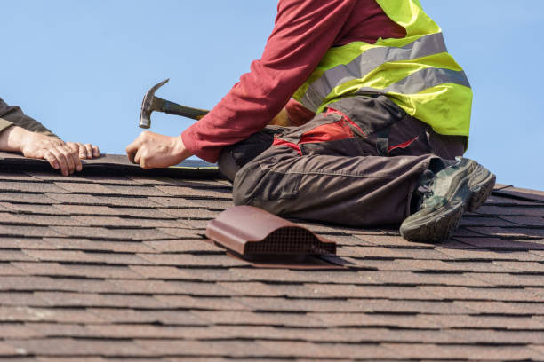 Roof Gutter Cleaning in Round Lake Beach, IL