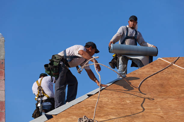 Best Shingle Roofing Installation  in Round Lake Beach, IL