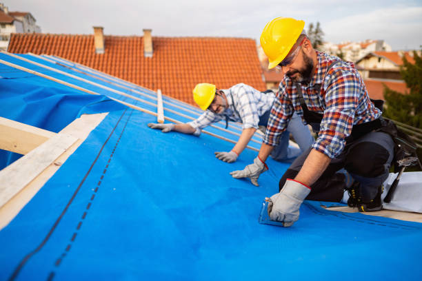Best Roof Maintenance Services  in Round Lake Beach, IL