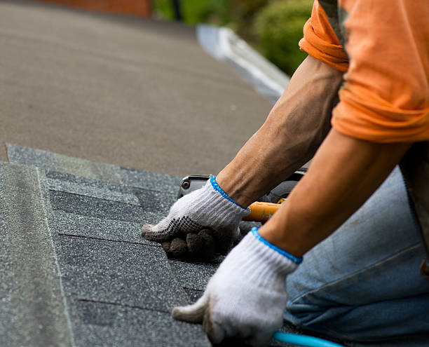 Best Commercial Roofing Services  in Round Lake Beach, IL